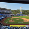 달려라태수