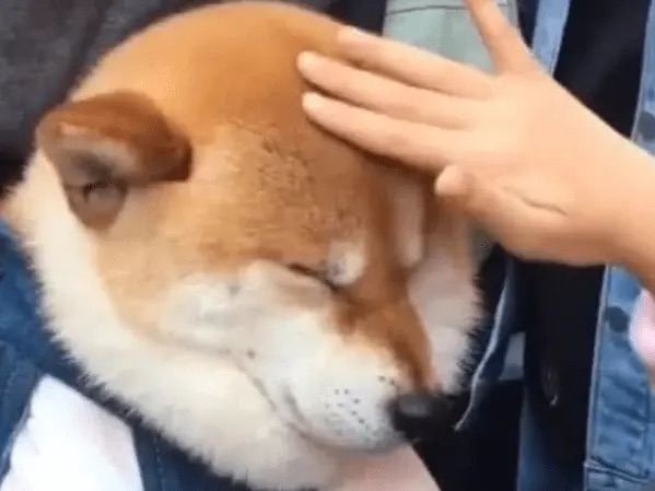 TomJJ