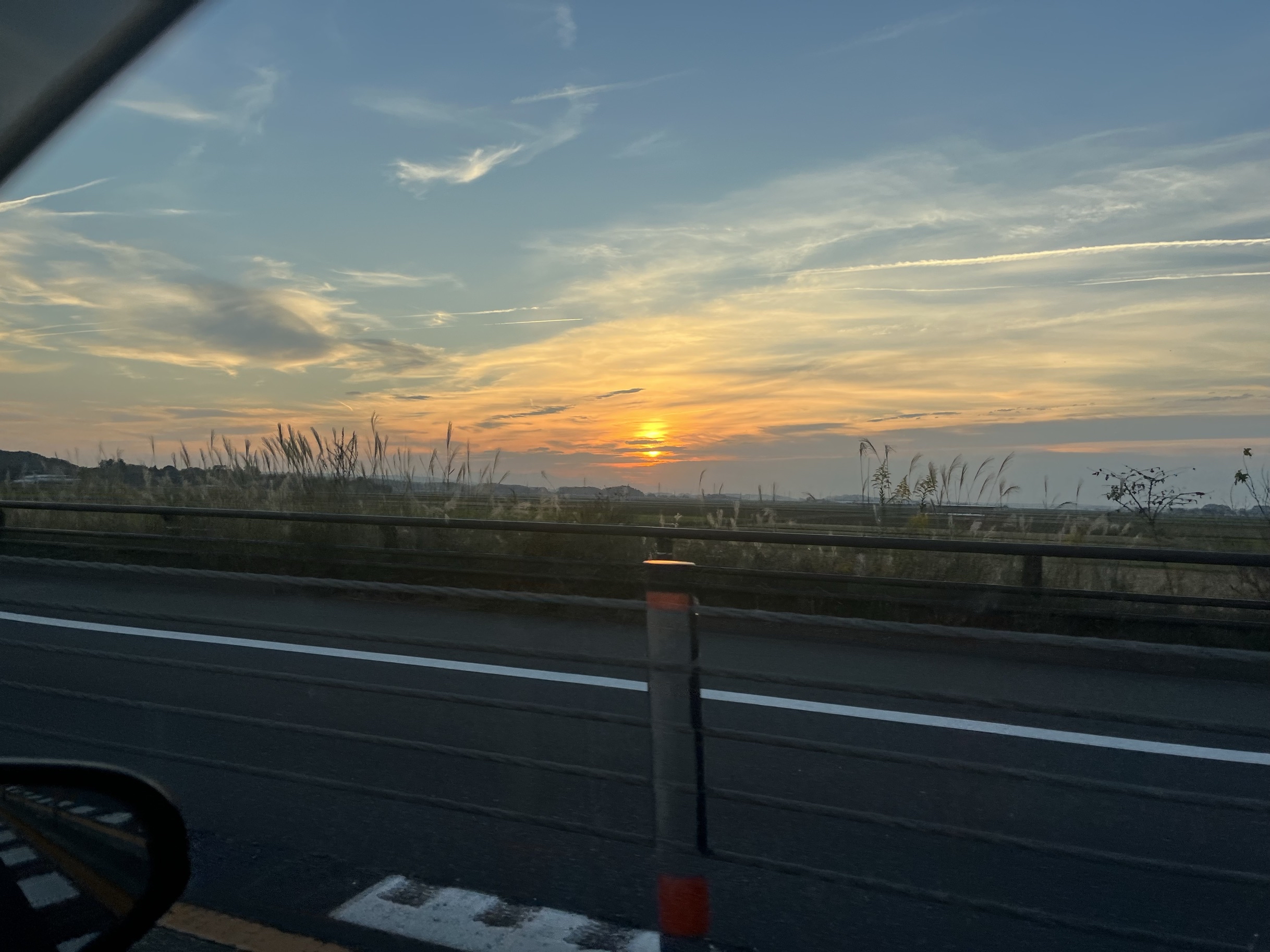 やまぴこ