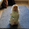 cps_0819