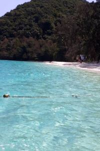 kyo12 ホテルセレクトイン沼津 クーポン