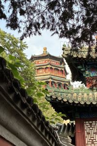 Pronator 京都聖地亞哥旅館優惠