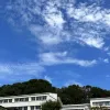 Avatar 1