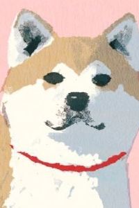 空中小狗 大邱東城路東京旅館優惠