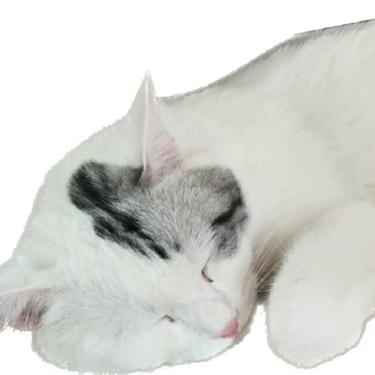 Kantanat (汪怡帆)