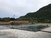 隨性走走
