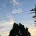東京迪士尼海洋