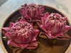 Thaonguyen22