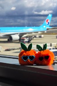 여행의학과 더웨이호텔 쿠폰