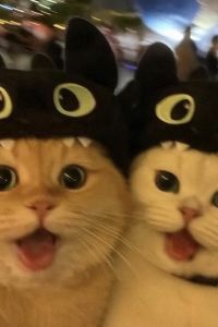 HIKU