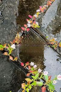 리뷰어