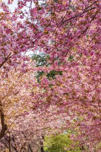 訪客用戶 新竹福華大飯店優惠