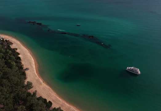 Australia Tangalooma Wrecks + Moreton Island 1-day tour [New catamaran + snorkeling + island visit] AUD 269