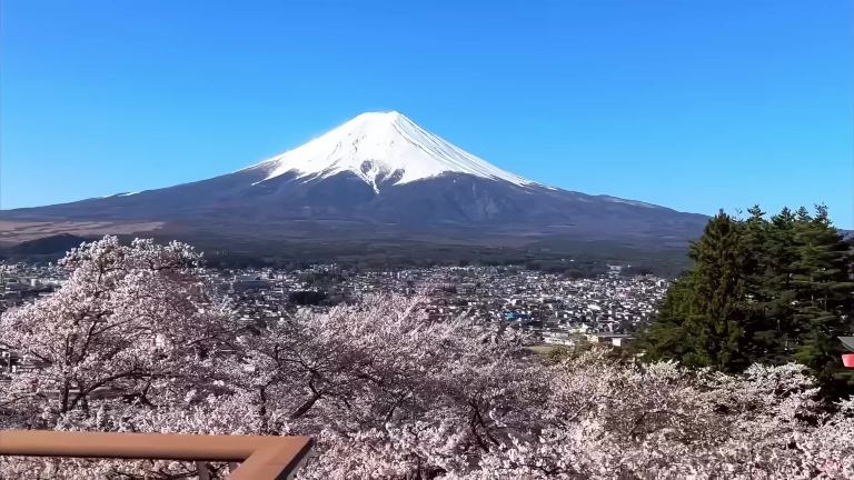 Mount Fuji Scenic Highlights Day Tour