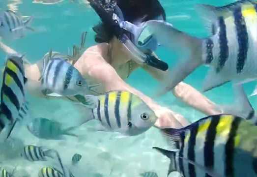 Thailand Pattaya Koh Samet/Samaesarn/Samae San boutique small group snorkeling, sea fishing, professional luxury speedboat 1-day tour, private...