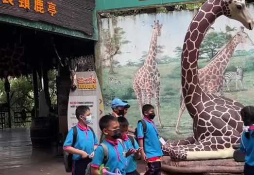 Bangkok Safari World Day Tour with Chartered Car [Hotel Pickup | Tickets Included | Free Fan]