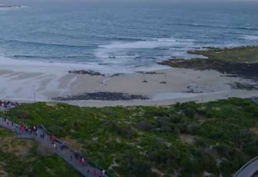 1-day tour to Phillip Island Penguin Parade + Koala Conservation Reserve [Seat Upgrade Available] AUD 194.45
