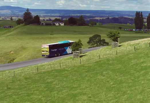 Hobbiton™ Movie Set Tours + Te Puia - Rotorua, NZ 1-day tour with luxury bus and buffet lunch
