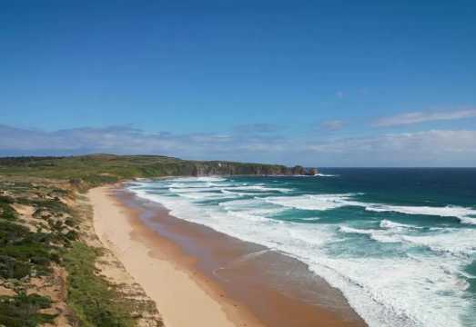 Phillip Island Penguin Parade + Moonlit Sanctuary Wildlife Park Tour [Optional Underground Viewing Stand] AUD 194.45