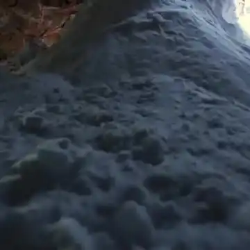 k*i様 地底の大河 Underground  アイスエイジ版 4枚セ 地底の大河/Underground River》[ICE] 土地R | 日本最大級 MTG通販