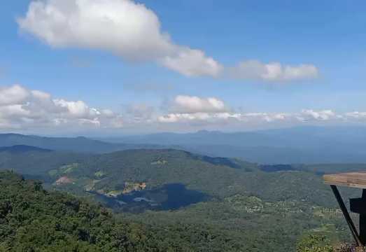 Chiang Mai: Heavenly Heights of Mon Jam & Cozy Sips at Elephant Café Half-Day Tour