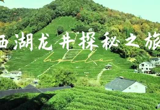 Hangzhou West Lake Longjing Village Tea Farmer Experience Half-Day Tour [Optional Private Transfer + Song Dynasty Tea Whisking + Tea Roasting &...