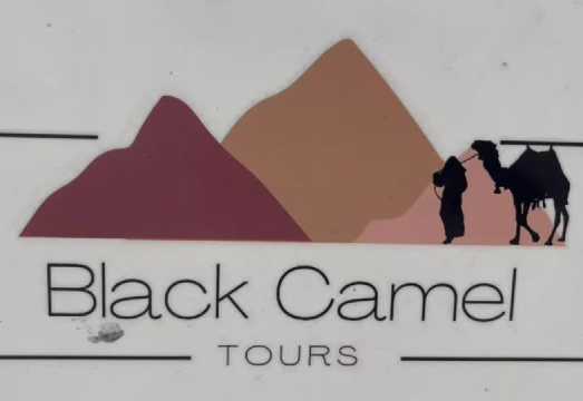 Black + White Desert Crystal Mountain Star Watching + National Park + A round Transfer