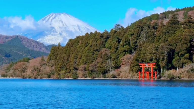 Mount Fuji & Hakone Day Tour from Tokyo