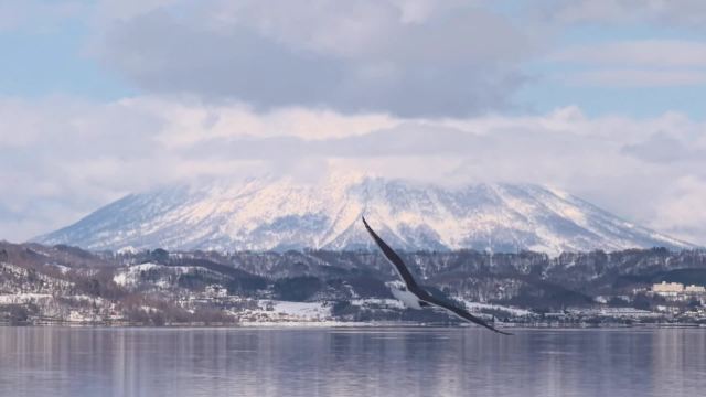 Lake Toya & Noboribetsu Hell Valley Day Tour