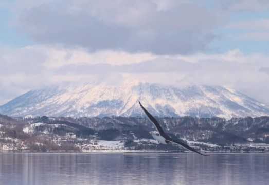 Sapporo : Lake Toya · Noboribetsu · Meisui Park · Lake Hill Farm · Showa Shinzan Bear Ranch · Summer Special Day Trip