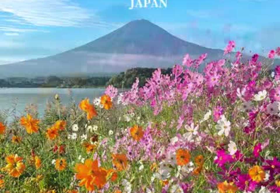 Mount Fuji, Kawaguchiko & Yamanakako Small-Group Tour from Tokyo – Guided Sightseeing Tour