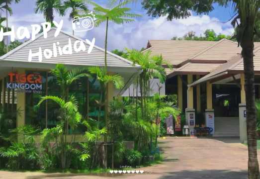 Tiger Kingdom [Pick-up & drop-off at the hotel|Great for families|Close Encounter With Tigers