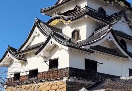 From Osaka: 1-day tour to Hikone Castle, MIHO MUSEUM & Baumkuchen Factory (with admission tickets included)