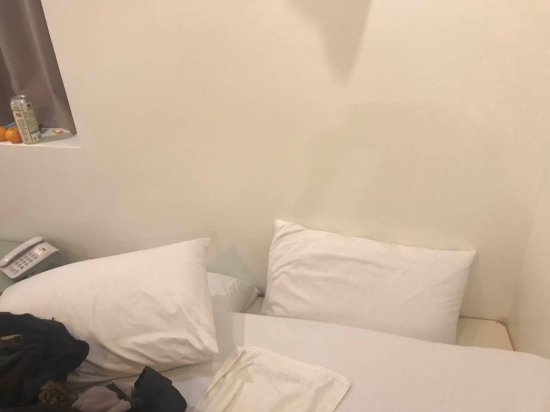 쇼호텔 쿠폰