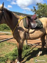 Fordsdale horseback Adventures