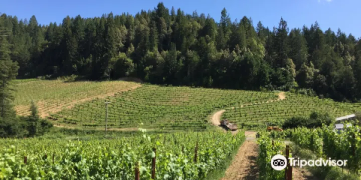 Porter-Bass Vineyard and Winery