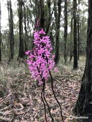 Moondarra State Park