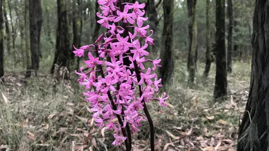 Moondarra State Park