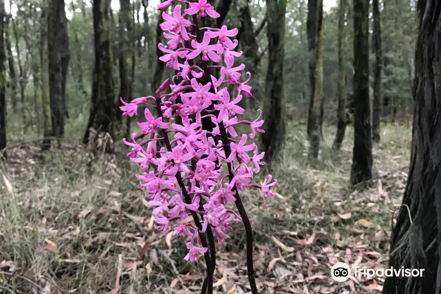 Moondarra State Park