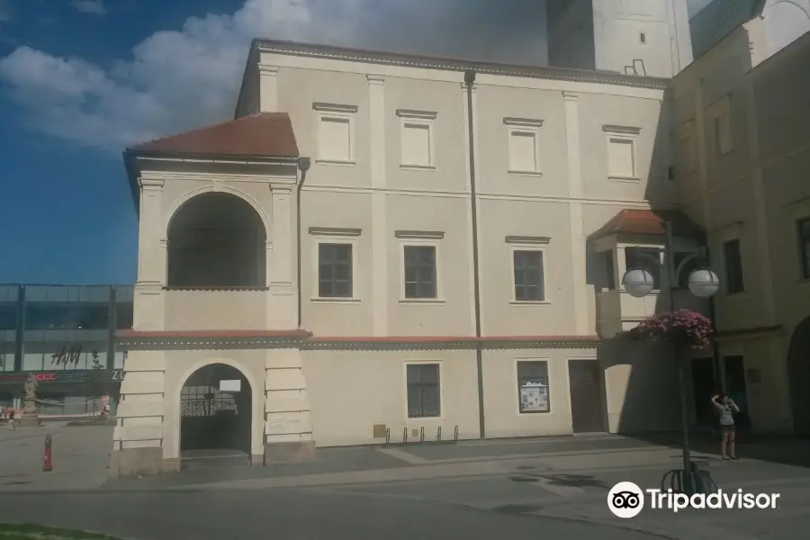 Stara Radnice & Muzeum Prostejovska