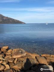 Sail Freycinet