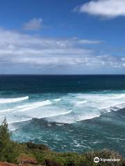 Touch Kauai