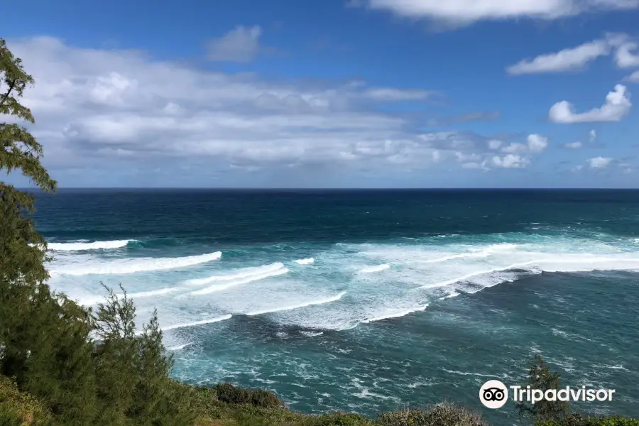 Touch Kauai