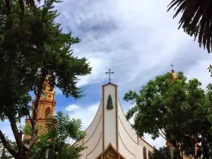 Catedral de San Pedro Virgen de la Candelaria