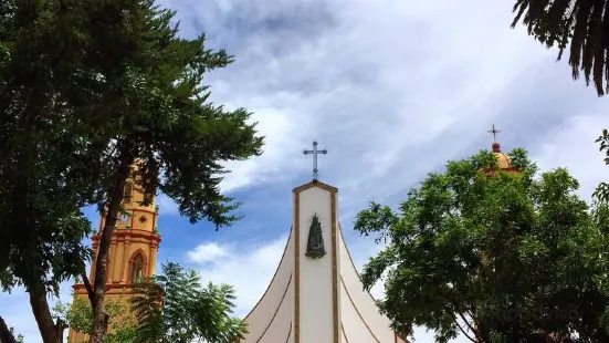 Catedral de San Pedro Virgen de la Candelaria