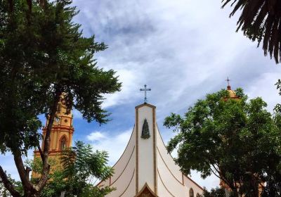 Catedral de San Pedro Virgen de la Candelaria