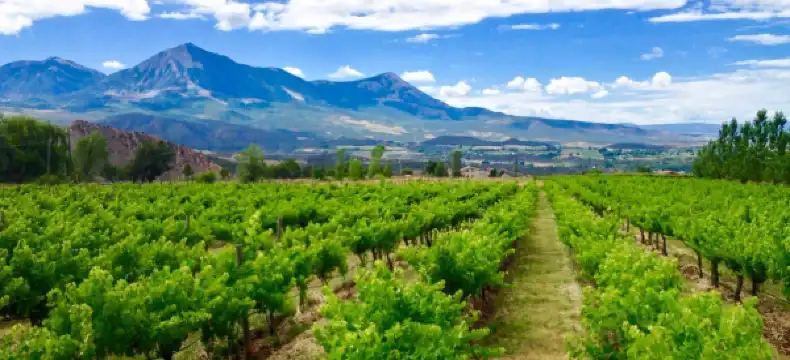 Hoteles en Condado de Delta