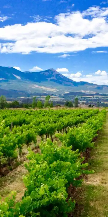 Hotels in Delta County