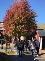 Edwards Apple Orchard