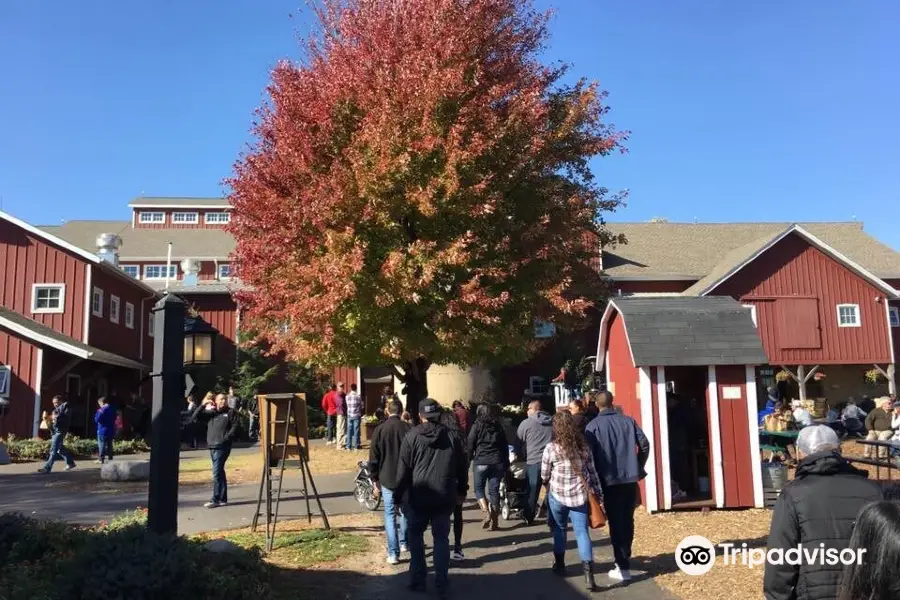 Edwards Apple Orchard